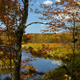 Illustration for article titled Fall Photos 1